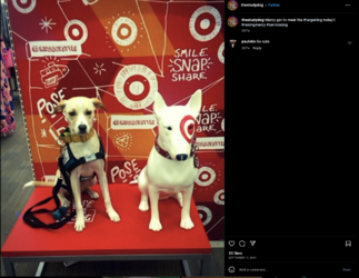 sams-271.png sams-271.png