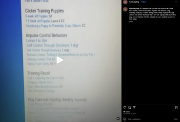 sams-293.png sams-293.png