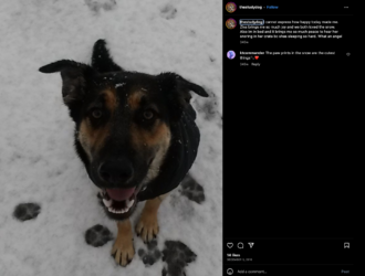 sams-296.png sams-296.png