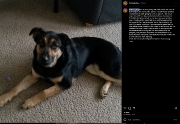 sams-297.png sams-297.png