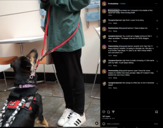 sams-306.png sams-306.png