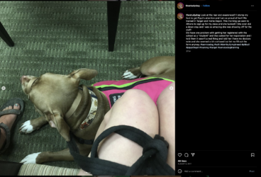 sams-384.png sams-384.png