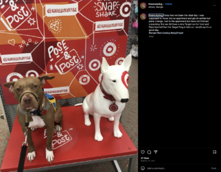 sams-391.png sams-391.png