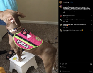 sams-404.png sams-404.png