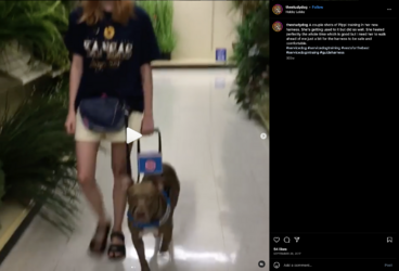 sams-424.png sams-424.png