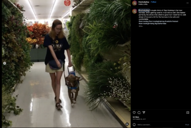 sams-425.png