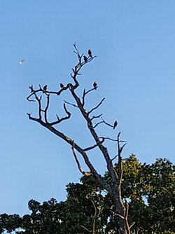 20230808_191307.jpg