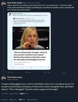Prof-Grace-Lavery-on-Twitter-I’ve-got-nothing-against-porn-and-I’m-definitely-in-favor-of-it-i...png