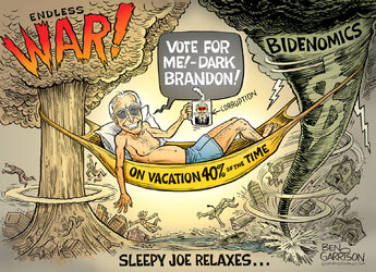 dark_brandon-biden_on_vacation-1536x1115.jpg