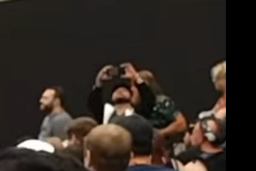 1691797046573.png