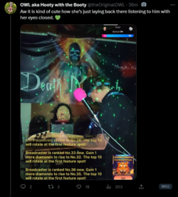 1691802636448.png