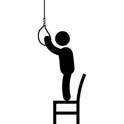 1691859899552.png