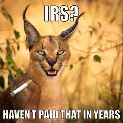 haven't paid that in years.jpg