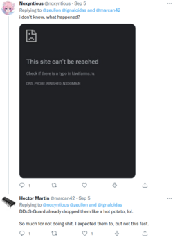 10.png