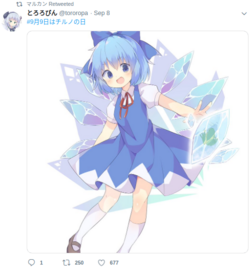 5.png