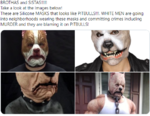 87867568798.png