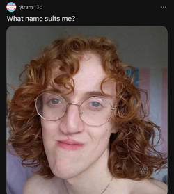 1692023166407.png