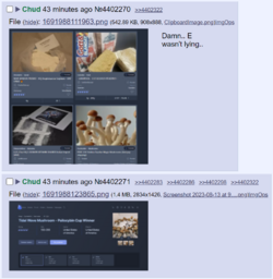 Market Place 1.png