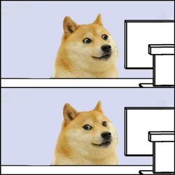 doge.jpg