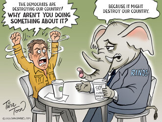 RINO_excuses-biden-impeachment-tina-toon-1536x1161.jpg
