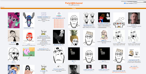 9ch catty.png