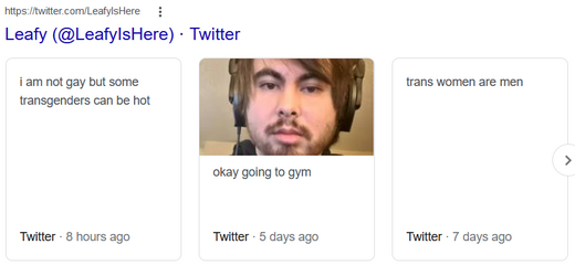 leafyishere.png