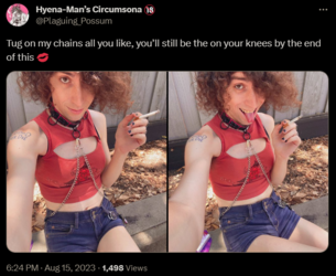 1692235878676.png