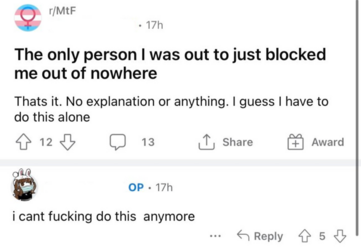 1692261996308.png