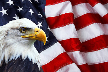 istockphoto-532961103-612x612.jpg