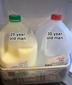 empty_milk_carton.png