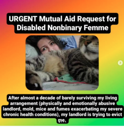 1692303311026.png