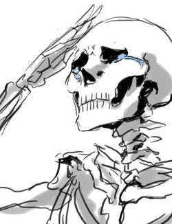 o7.jpg