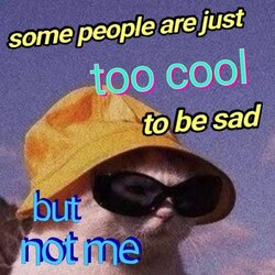 sunglasses-some-people-are-just-too-cool-be-sad-doseofselfhate-but-not.jpeg