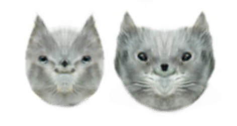 twins.png