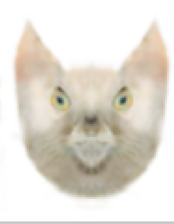 strange.png