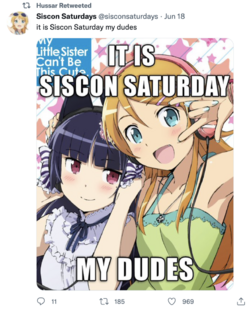 Screenshot 2023-08-19 at 11.38.05 AM.png