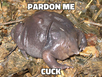 meme(1).png
