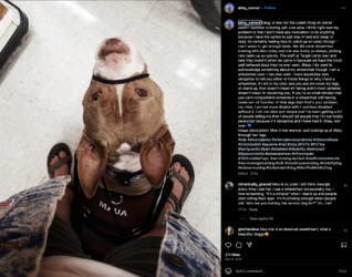 sams-612.png