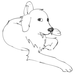 Untitled31.png