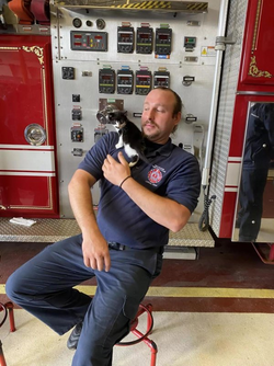 rescued kitten 3.png