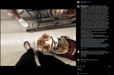 sams-650.png