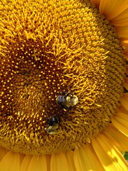 20230818_115139.jpg
