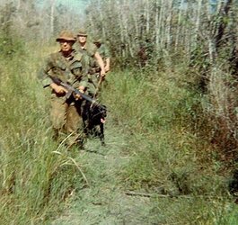 Rudy 11 On track 1969, Rudy Pascucci, Animal Norwood and Sam.jpeg