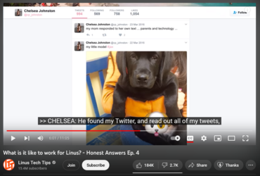 tweet female employee.PNG