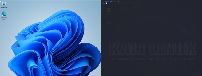 vms.png
