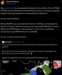 Screenshot from 2023-08-21 20-29-12.png