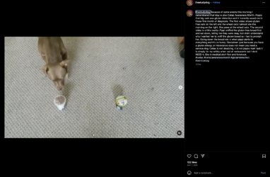 sams-866.png