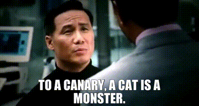 477A5A37-8414-40E7-85ED-EB52BFA1C080.gif