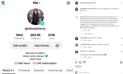 elle.png