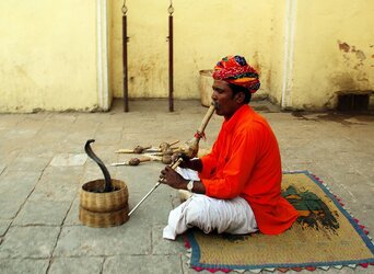 india-919215_1280.jpg